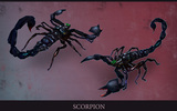 Koralevskiy-skorpions